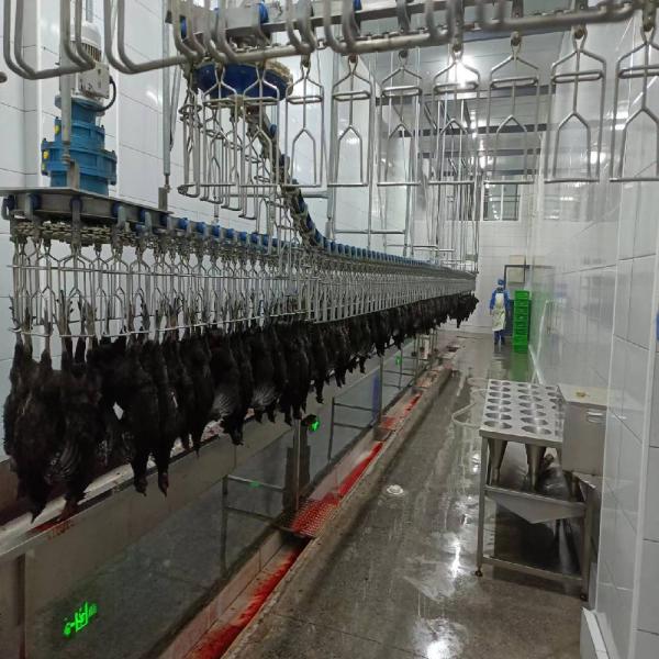 Containerized Latest Design Mobile Chicken Slaughtering Line for Poultry Industry