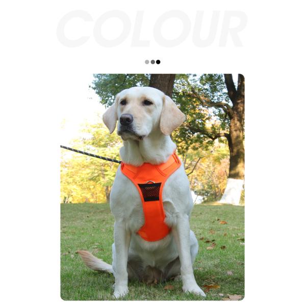 Football Pattern Breathable Pet Harness And Walking Leash Set For Medium And Large Dogs