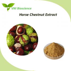 China Natural Horse Chestnut Extract Aescin / Aesculus Hippocastanum Extract on sale