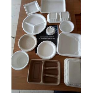 Automatic Sugarcane Plate Making Machine
