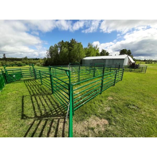 Portable Corral Fence Galvanized Cattle Yard Horse Fence Panel Livestock Panels
