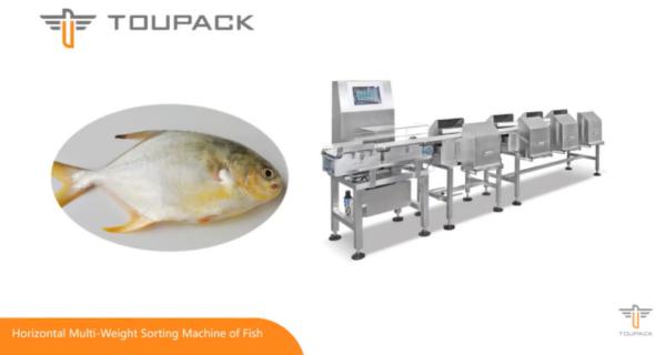 Quality 500g Weight Sorting Machine for sale