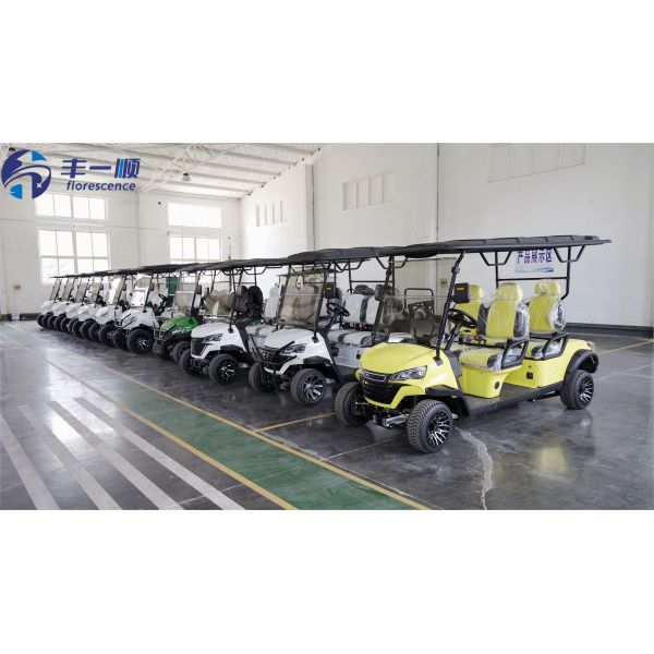 Electric 2 Seat Golf Cart with Cargo Box