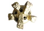 Pangolin Carbide PDC Drag Bit Polycrystalline Diamond Compact Bits
