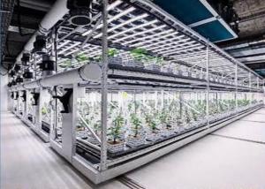 Buy cheap Custom Aeroponics Hydroponics System For Planting product