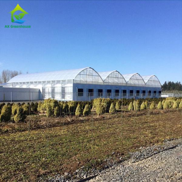 Eco Friendly Automatic Light Dep Greenhouse 8m To 11m Width Plants Grow Greenhouse