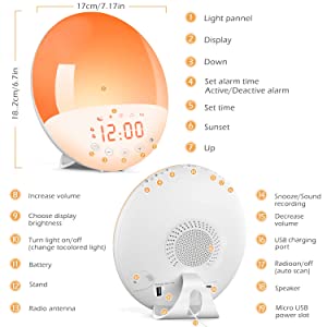Amazon Alex Google Assistant Home Sunrise Alarm Clock / Sun Lamp Alarm Clock
