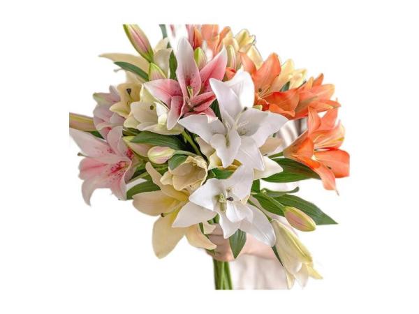 Quality OEM Artificial PU Silk Calla Lily Flowers White Pink for sale