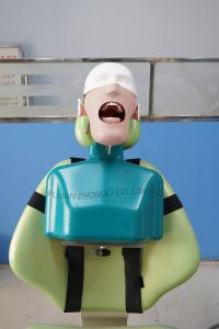 China Top Quality Dental Manikin Head with Torso for Dental Chair on sale