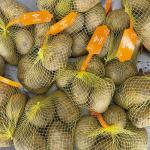 10 Head Multihead weigher Potato Onion Mesh Bag Packing Machine With Label Tag