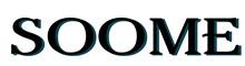 China HEBEI SOOME PACKAGING MACHINERY CO.,LTD logo