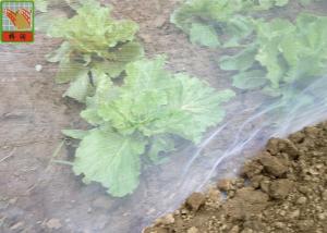 HDPE Material Agricultural Insect Netting 16 Mesh White Color Light Weight