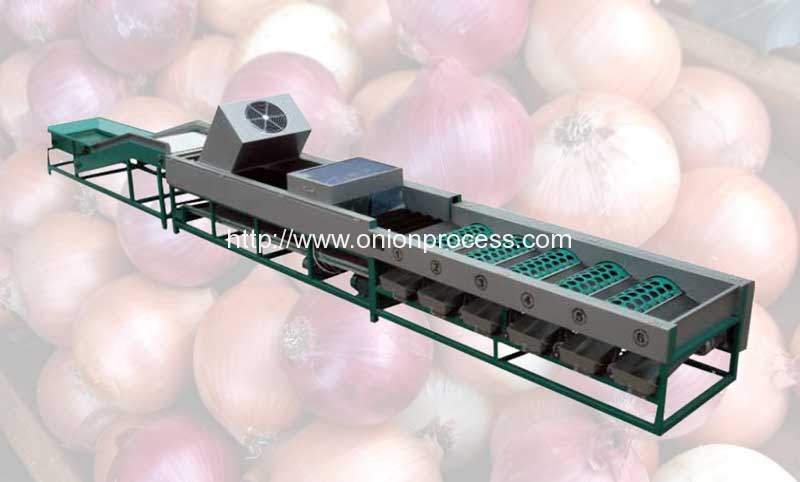 automatic-onion-selecting-brush-dry-cleaning-and-sorting-line