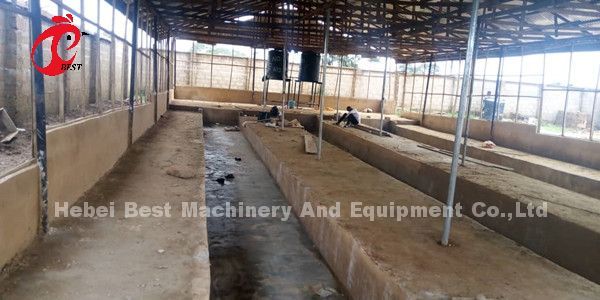 Automatic Battery Layer Cage , Poultry Farming Cage Nigeria Lagos Sandy
