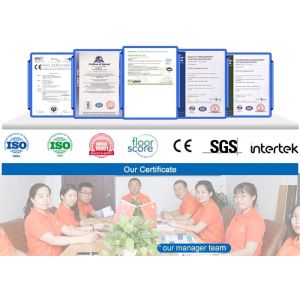 UV Surface Spc Interlocking Flooring