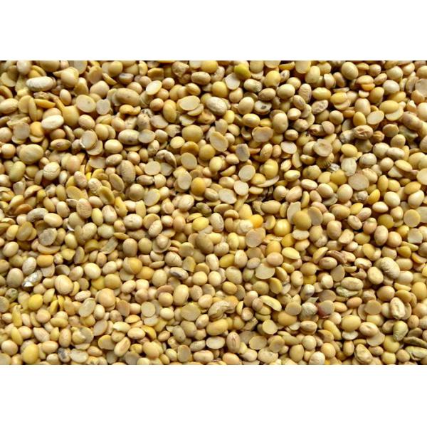 Intelligent Bean Color Sorter Mini Red Bean Soybean Optical Color Sorter