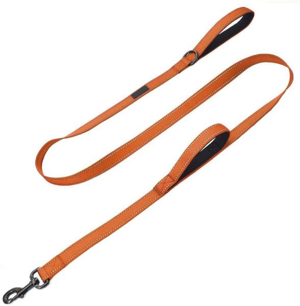 Quality Double Handle Reflective Nylon Dog Leash for sale