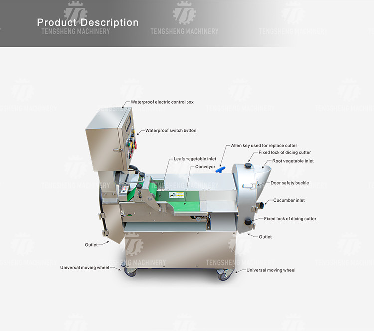 Balsam Pear Rutabaga Industrial Fruit Slicer , Fresh Organism Vegetable Cube Cutting Machine