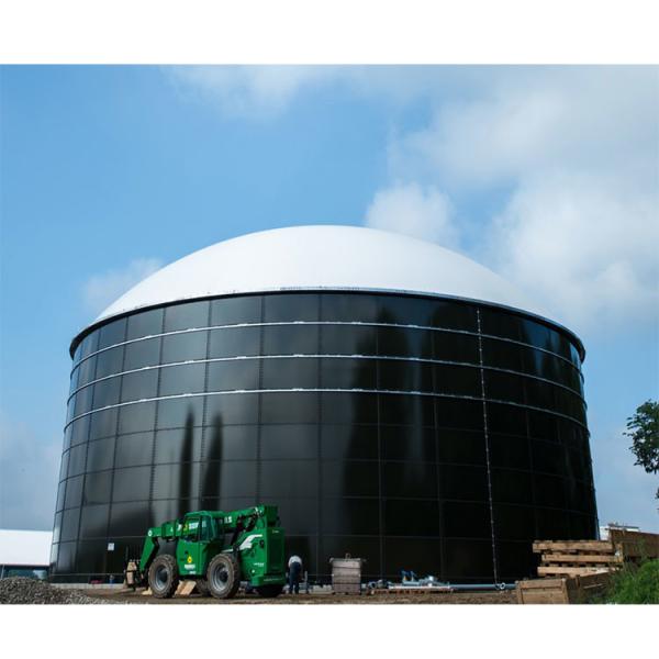 Quality Movable Industrial Anaerobic Digestion Machinery Automatic for sale