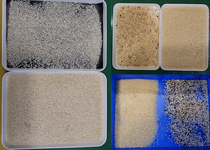 Grading Long Grain Parboiled Sticky Rice Color Sorter