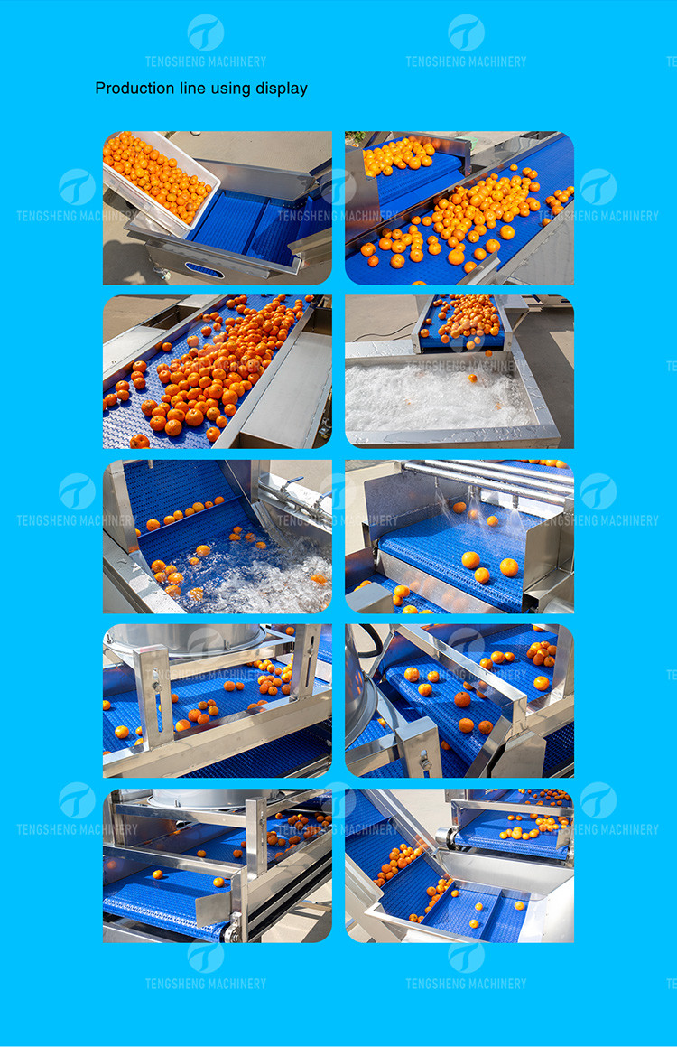 Automatic Fruit And Vegetable Processing Line Selection Washing Drying