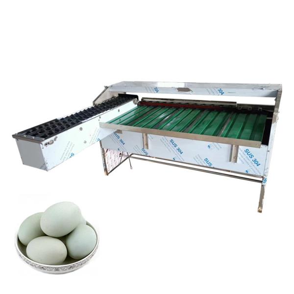 Quality Egg Washer And Grader Egg Grader Machine Egg Grading Machine Sorter for sale