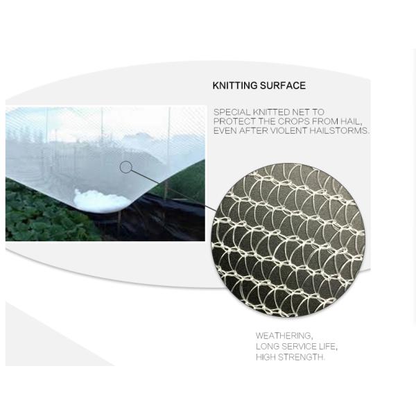 SRCP Raschel Warp Knitting Machine for Anti-Insect Nets