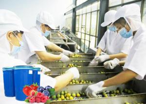 Buy cheap 60T / Day Fruit Processing Line Fully Automatic Operation Good Performance product