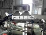 Turnkey Dates Processing Machinery Palm Dates Sorting Drying Washing Dates