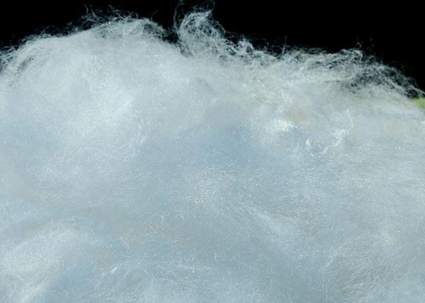 Quality Short Cut 100 Biodegradable PLA Fiber White 1.3D 1.5D 2D 6MM 9MM 12MM for sale