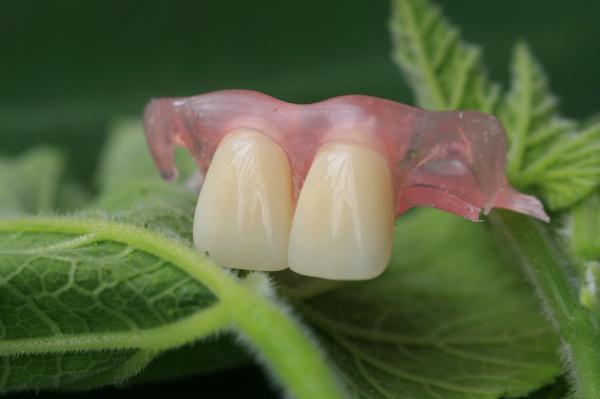 Quality Flexible Invisible Denture for sale
