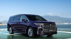 30kW Luxury EV Car Carbon Version VOYAH Dreamer MPV Seven seaters
