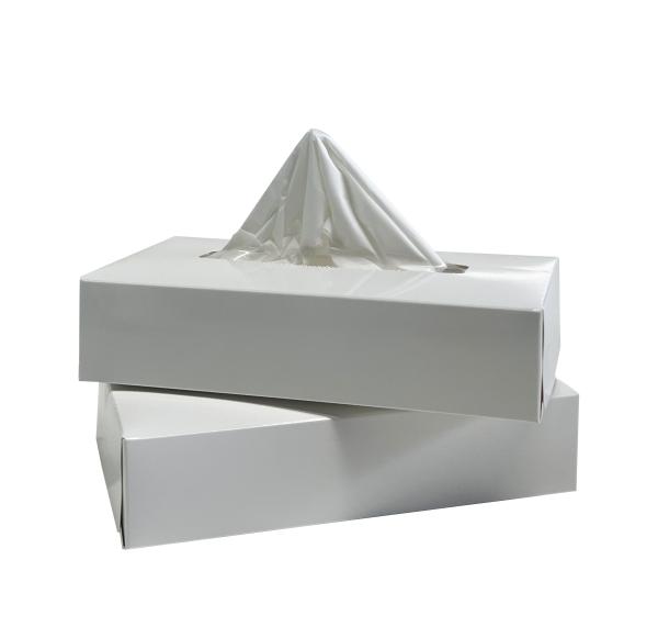 Quality Home Soft Skin-Friendly Dry Tissue Paper with Strong Water Absorption 2 Layers for sale