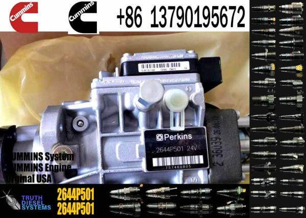 Quality 3056E Fuel Injection Pump 2169824 216-9824 2644P501 2644P501R 0470006003 0470006010 0986444518 for Perkins 1106C-E60TA E for sale
