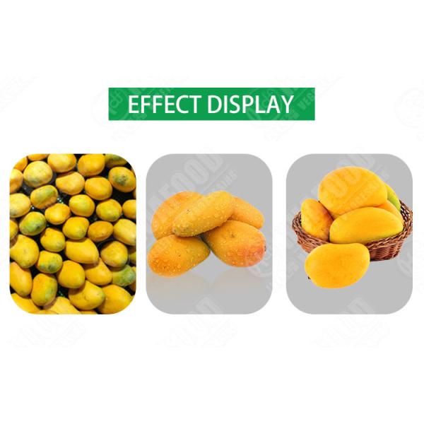 SS304 Vegetable And Fruit Washing Machine Mango Processing Line