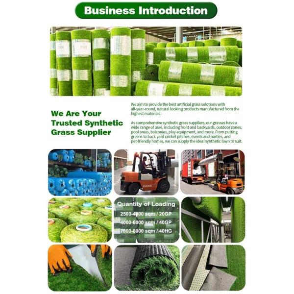 PE PP Artificial Grass Carpet Roll Fake Grass Rug 60cm*80cm 100cm*120cm