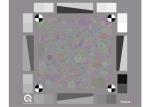 Dead Leaves Texture Test Target YE0276 for Texture Loss Analysis due to Noise