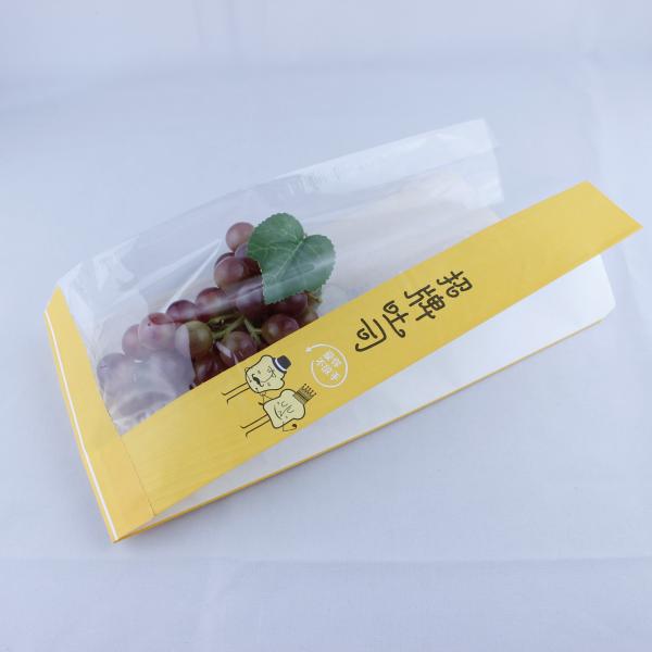 Quality Customized disposable biodegradable packaging bag with logo printing for sale