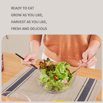 Home Lettuce PP 24V Greenhouses Hydroponic Growing Systems