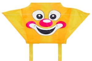 China 46*32CM Nylon Kites , Single Line Type Small Parafoil Kite Customized Logo on sale