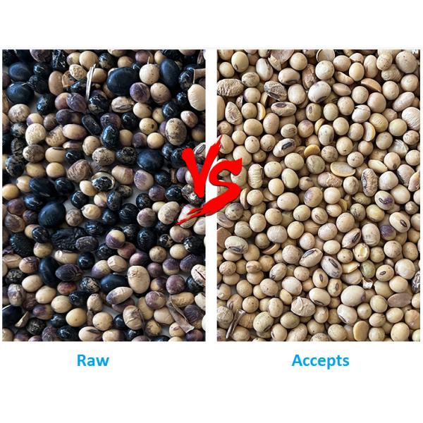 Small Wheat Lotus Seed Color Sorter Machine HD Image ODM