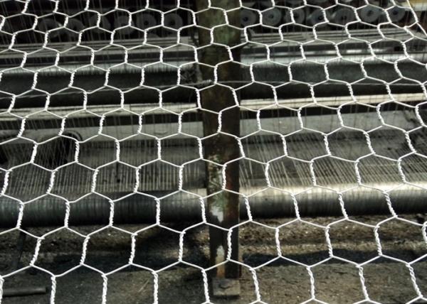 Quality Reverse twisted 75mm bwg19 Hexagon Metal Mesh for sale