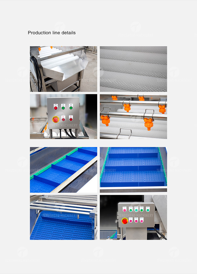 Multifunction Fruit And Vegetable Processing Line Parallel Brush Machine
