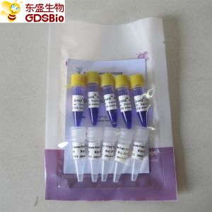 Buy cheap HS Mix PCR Master Mix #P2082 5ml product