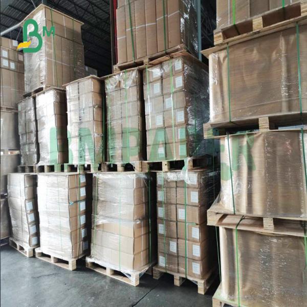 Professional-Grade Blue CAD Plotter Paper for Design Depiction Needs