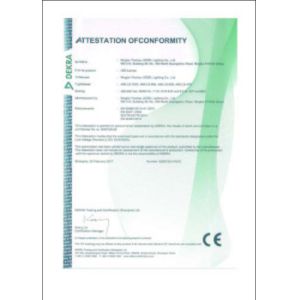 Ningbo Yinzhou Ledel Lighting Co., Ltd. Certifications