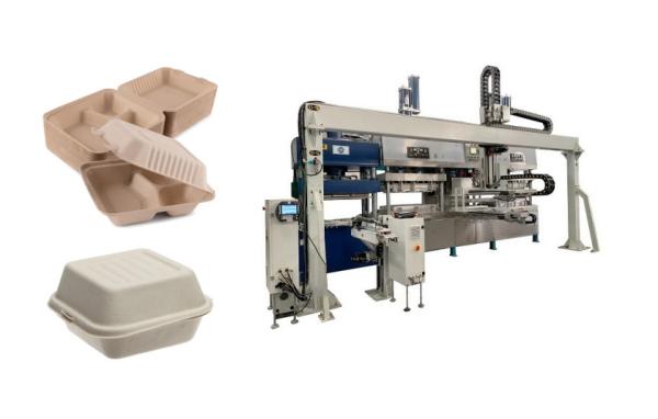 Quality Sugarcane Bagasse Pulp Clamshell Container Production Line With Singlel Robot Arm for sale