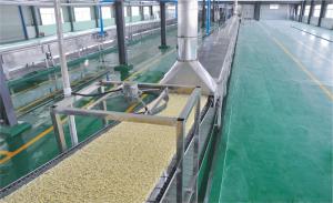 Buy cheap 304 Sus Non - Fried Instant Noodle Making Machine For Food Processing product