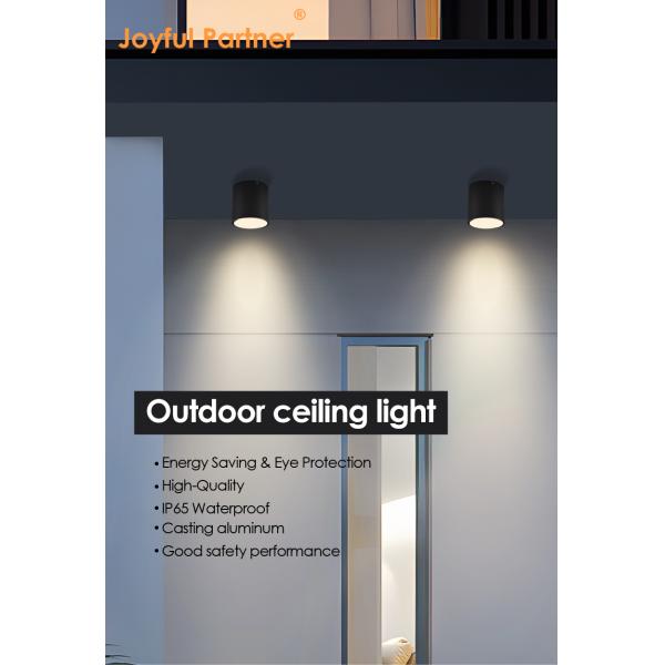 Outdoor Indoor Ceiling Lights IP65 8W Surface Mounted Cylinder Shape Cool White 4000K With CE ROHS Certification