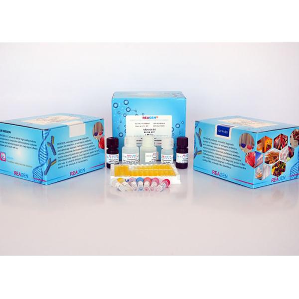 High Reproducibility Vitamin B5 (Pantothenic Acid) Test Kit 96 Test